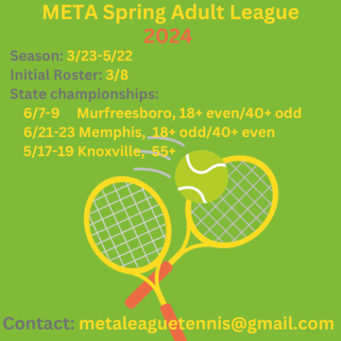 META Spring Adult League 2024 Flyer